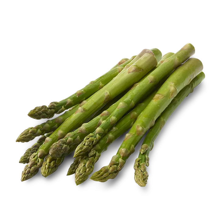 Asperge Verte