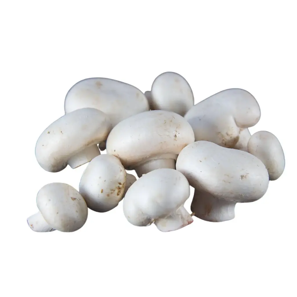 Champignon de paris