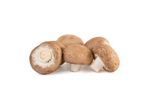 Champignon portobello