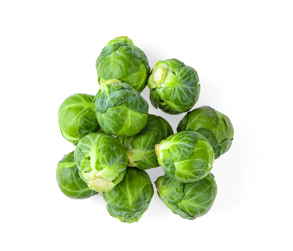 Choux de bruxelles