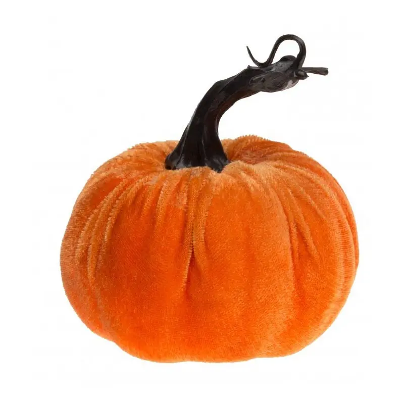 Citrouille