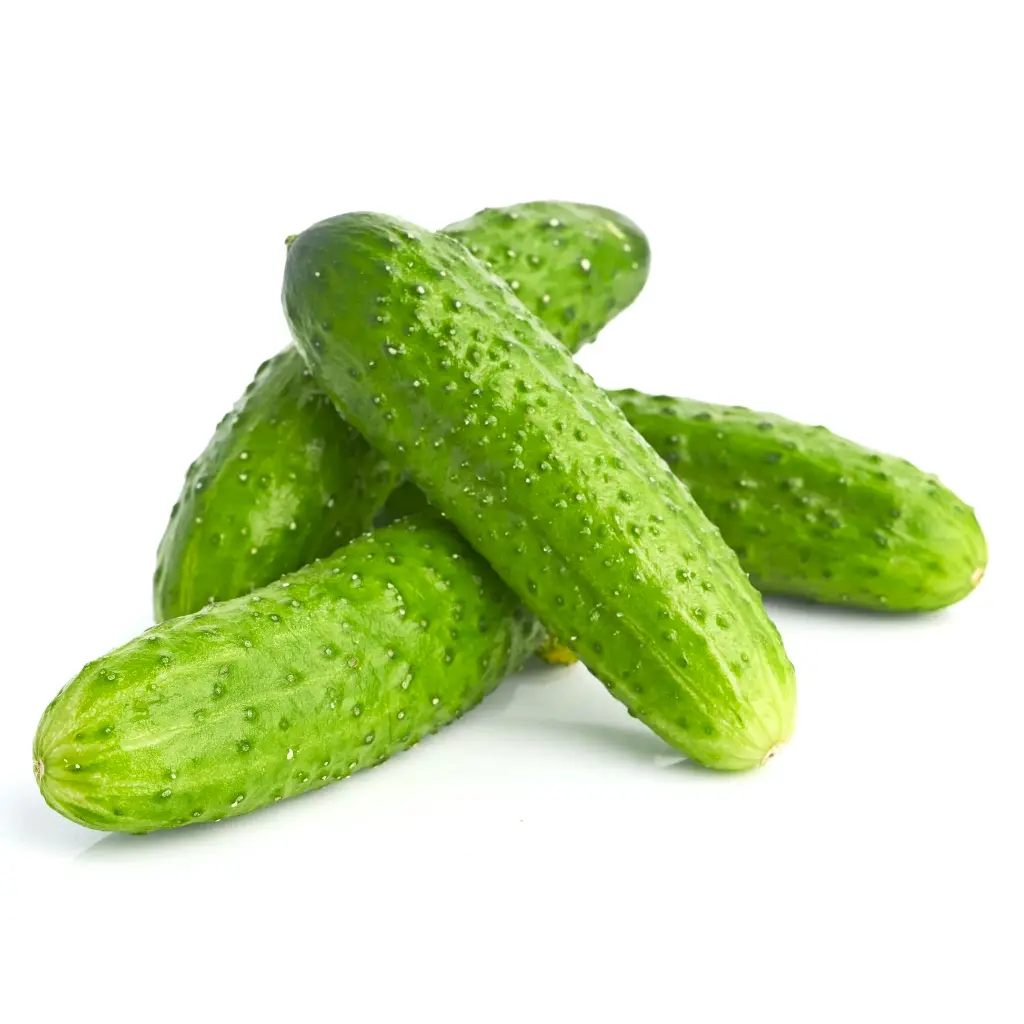 Concombre frais (cornichon)