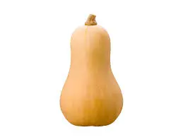 Courge butternut