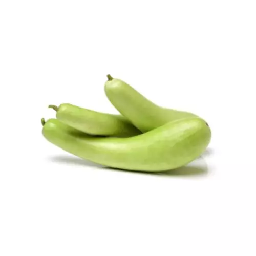 Courgette slaoui