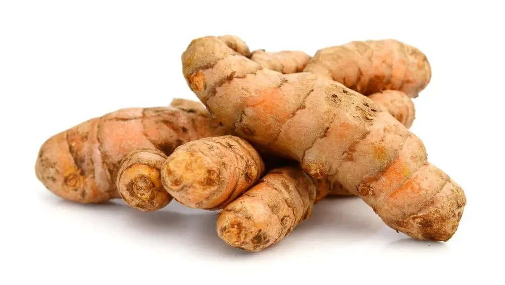 Curcuma frais