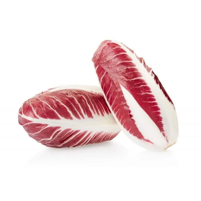 Endive rouge