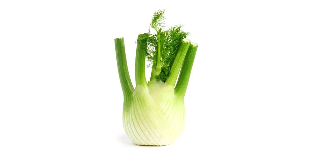 Fenouille