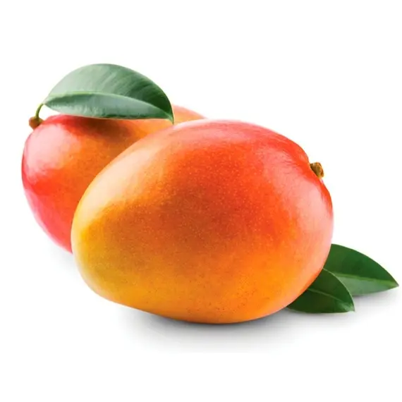 Mangue Avion