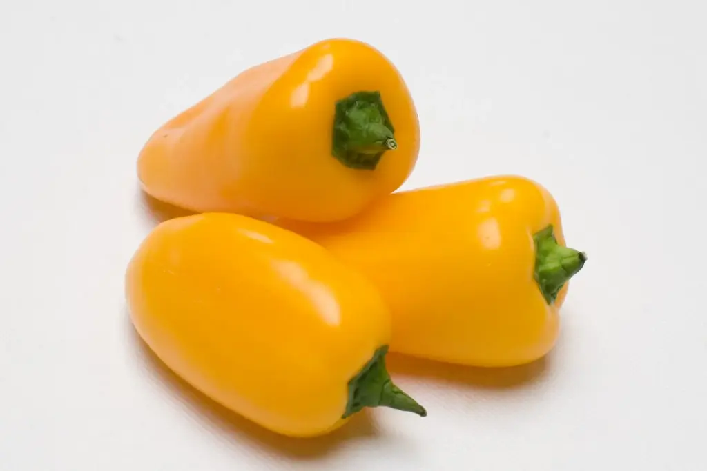 Mini poivron jaune