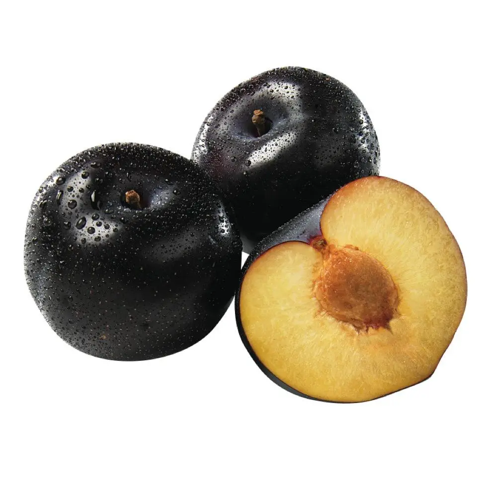 PRUNE NOIR