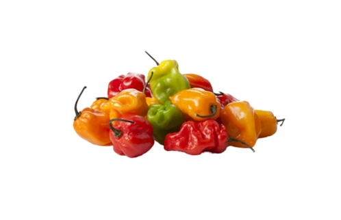 Piment habaniro
