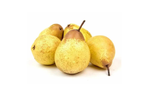 Poire Rocha
