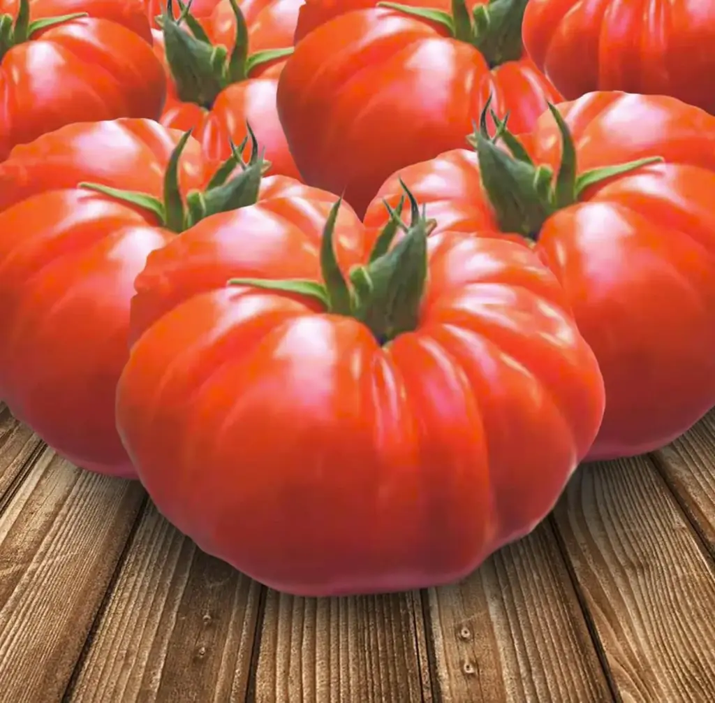 Tomates Buffalo