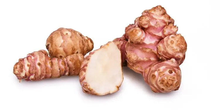 Topinambour
