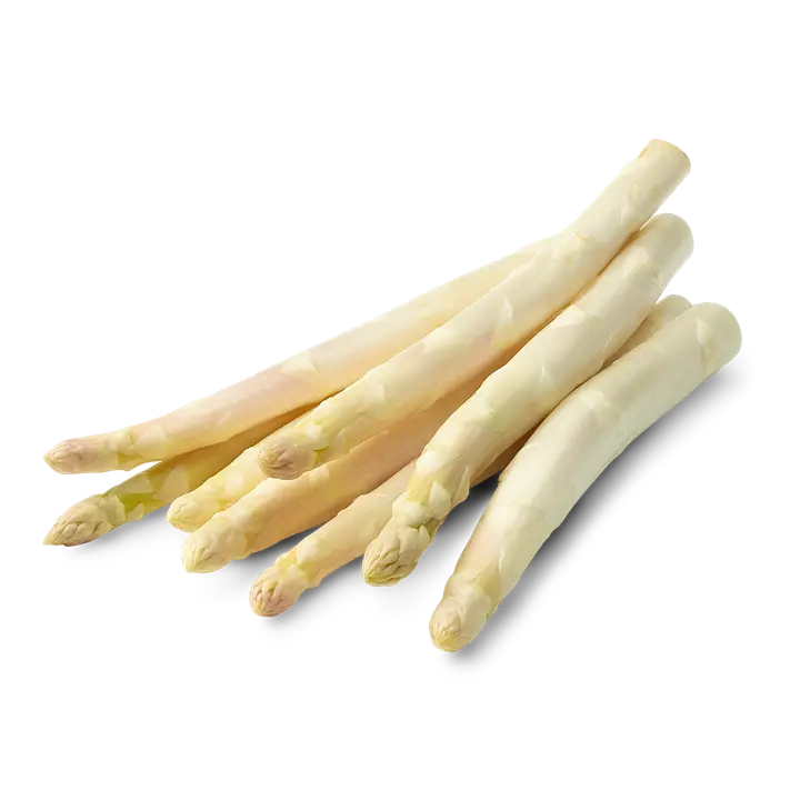 Asperge Blanche