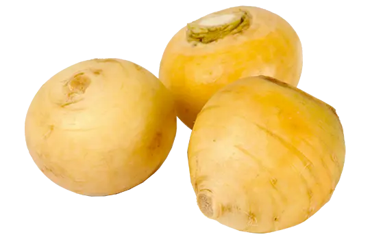Navet Jaune