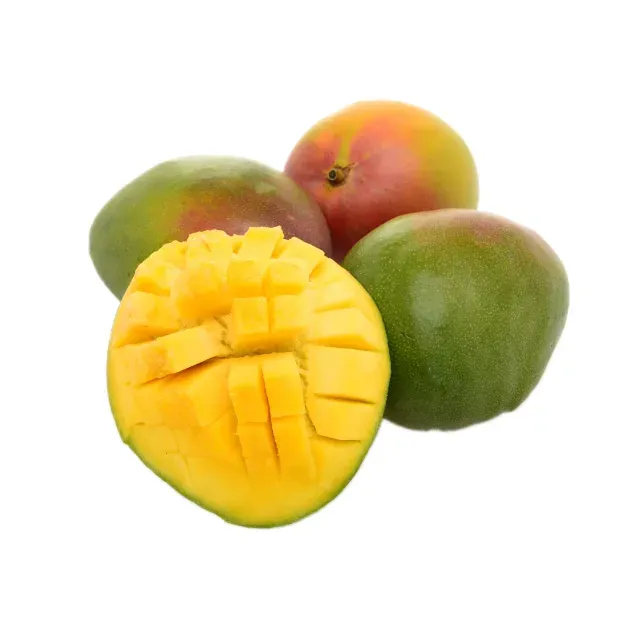 Mangue