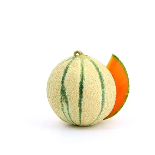 Melon salache taché