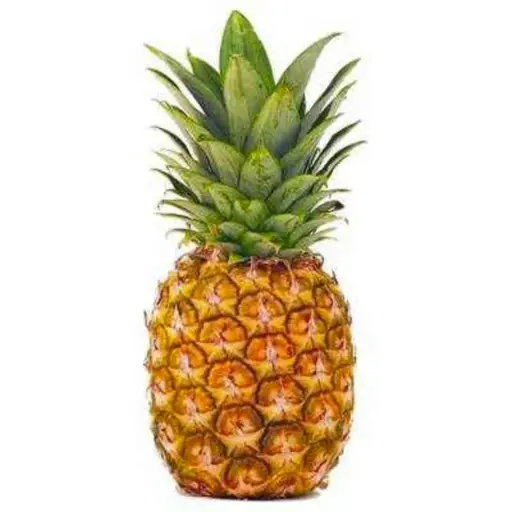 [104] Ananas avion