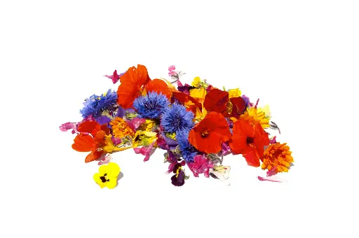 Fleurs Commestible Import