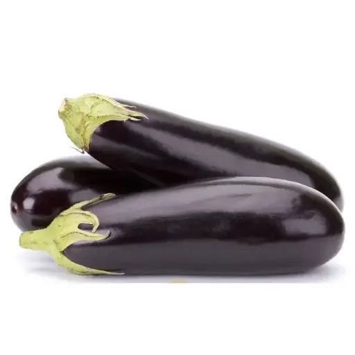 Aubergine