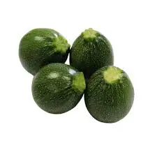 Courgette ronde