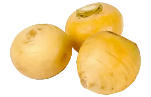 Navet Jaune