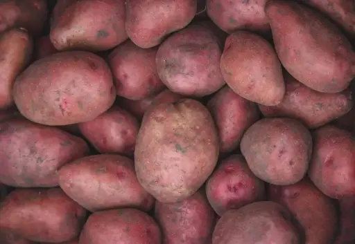 Pomme de terre frite