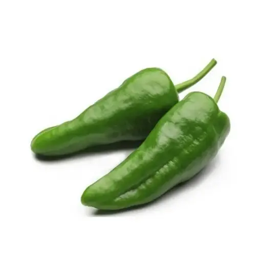 piment padron