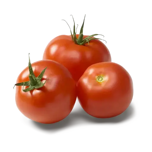 Tomate