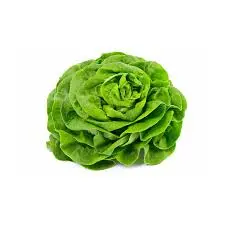 [409] Salade butterhead